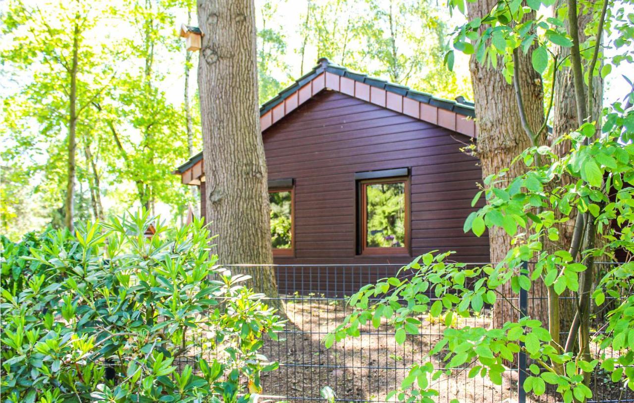 Pet Friendly Home In Haren With Sauna Данкерн Экстерьер фото