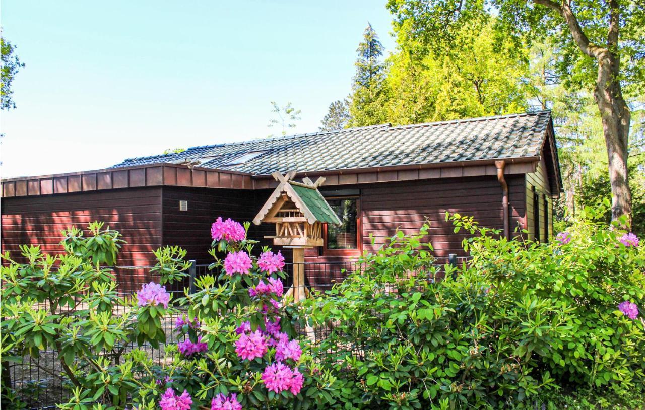 Pet Friendly Home In Haren With Sauna Данкерн Экстерьер фото