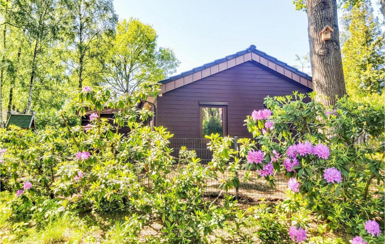 Pet Friendly Home In Haren With Sauna Данкерн Экстерьер фото